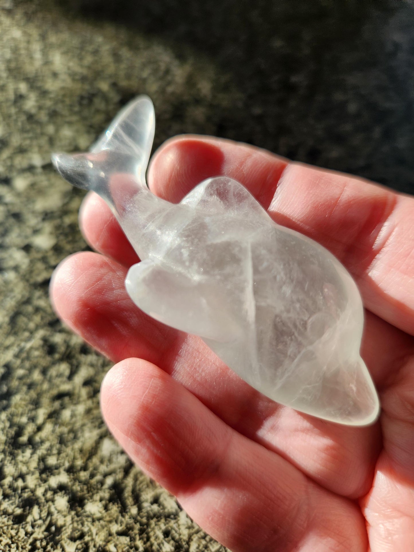 Mini Light Green Fluorite Dolphin Crystal Carving - High Polish