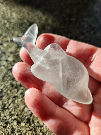 Mini Light Green Fluorite Dolphin Crystal Carving - High Polish