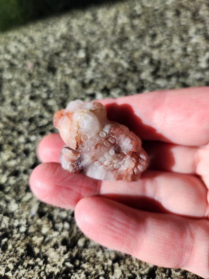 Pocket Sized Fire Quartz Crystal Money Toad All Natural, Extra Small