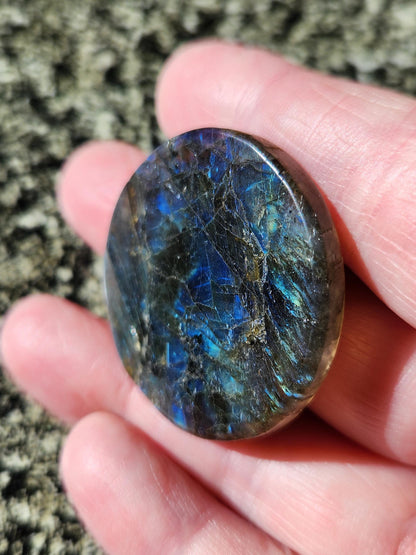 Labradorite Crystal Lion Coin Carving: Hand Carved Palm Stone with Extreme Flash