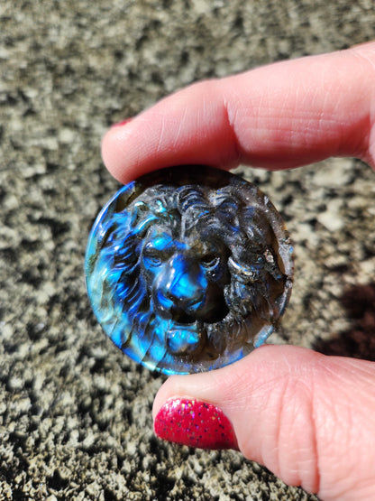 Labradorite Crystal Lion Coin Carving: Hand Carved Palm Stone with Extreme Flash