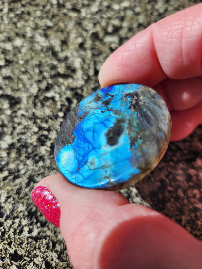 Labradorite Crystal Lion Coin Carving: Hand Carved Palm Stone with Extreme Flash