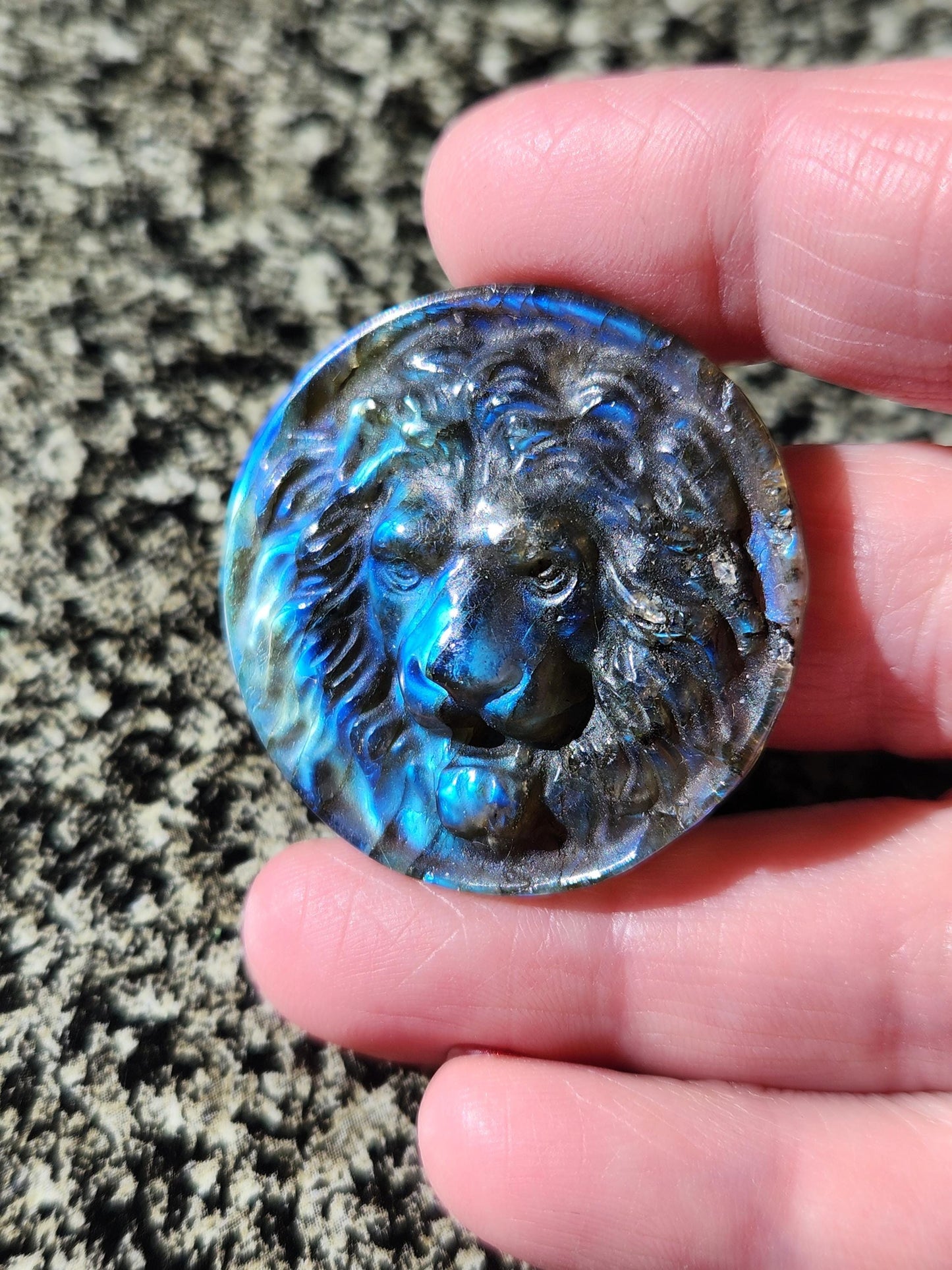 Labradorite Crystal Lion Coin Carving: Hand Carved Palm Stone with Extreme Flash