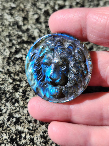 Labradorite Crystal Lion Coin Carving: Hand Carved Palm Stone with Extreme Flash