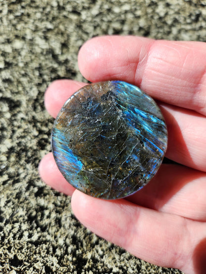 Labradorite Crystal Lion Coin Carving: Hand Carved Palm Stone with Extreme Flash