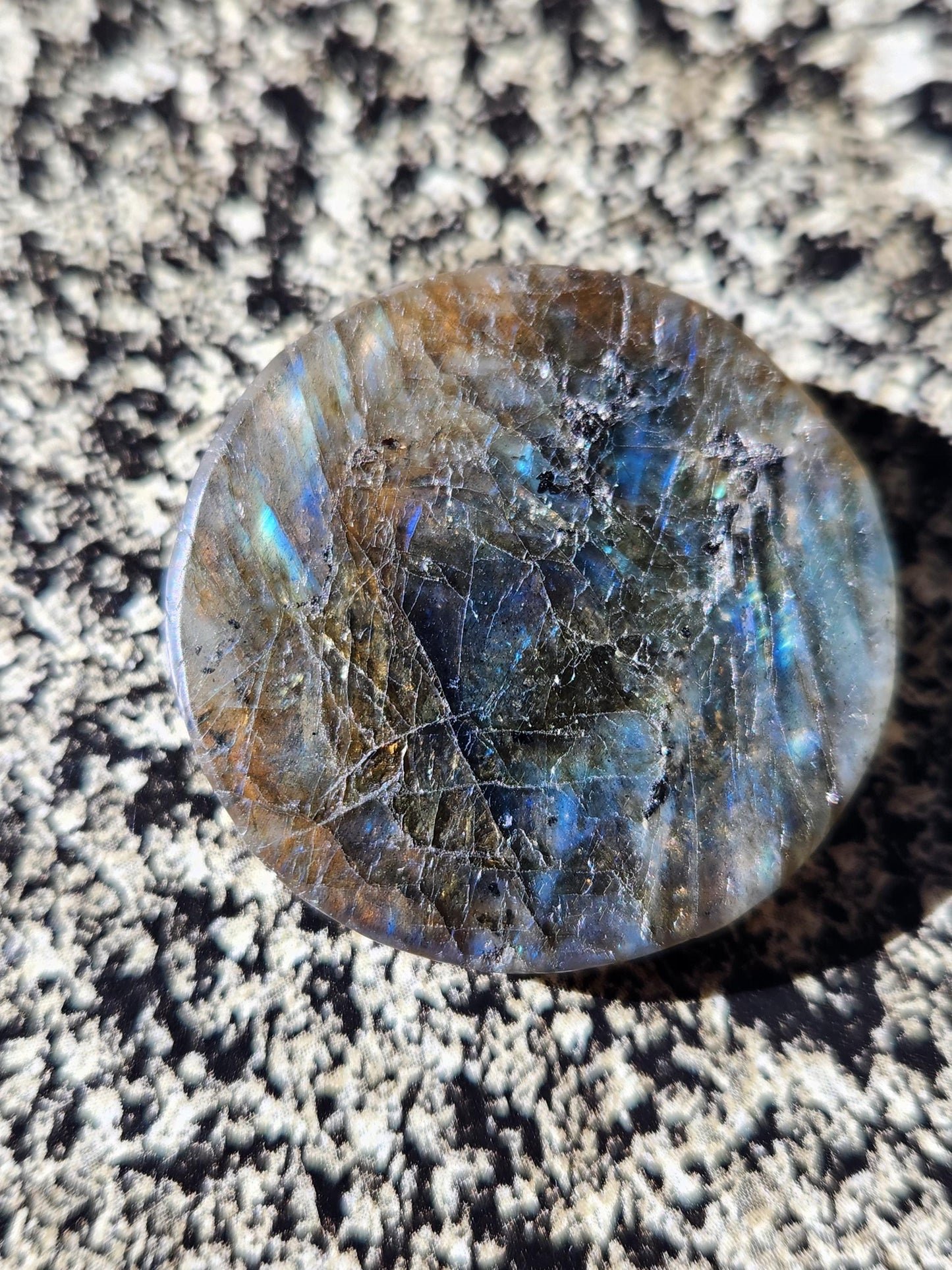 Labradorite Crystal Lion Coin Carving: Hand Carved Palm Stone with Extreme Flash