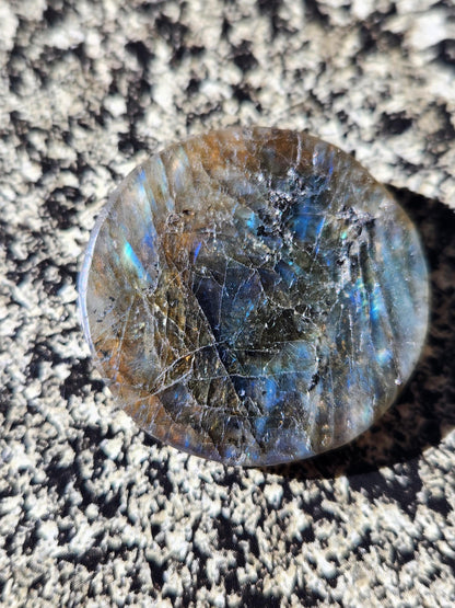 Labradorite Crystal Lion Coin Carving: Hand Carved Palm Stone with Extreme Flash