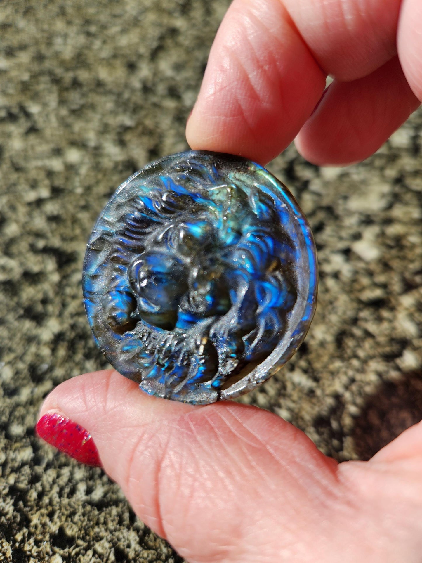 Labradorite Crystal Lion Coin Carving: Hand Carved Palm Stone with Extreme Flash