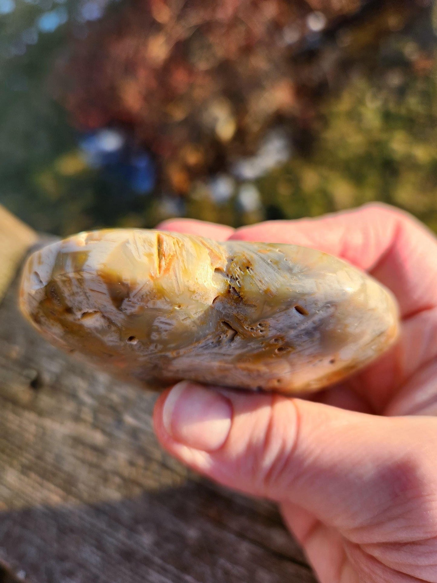 High Polished Bahia Jasper Crystal Heart, Hand Sized