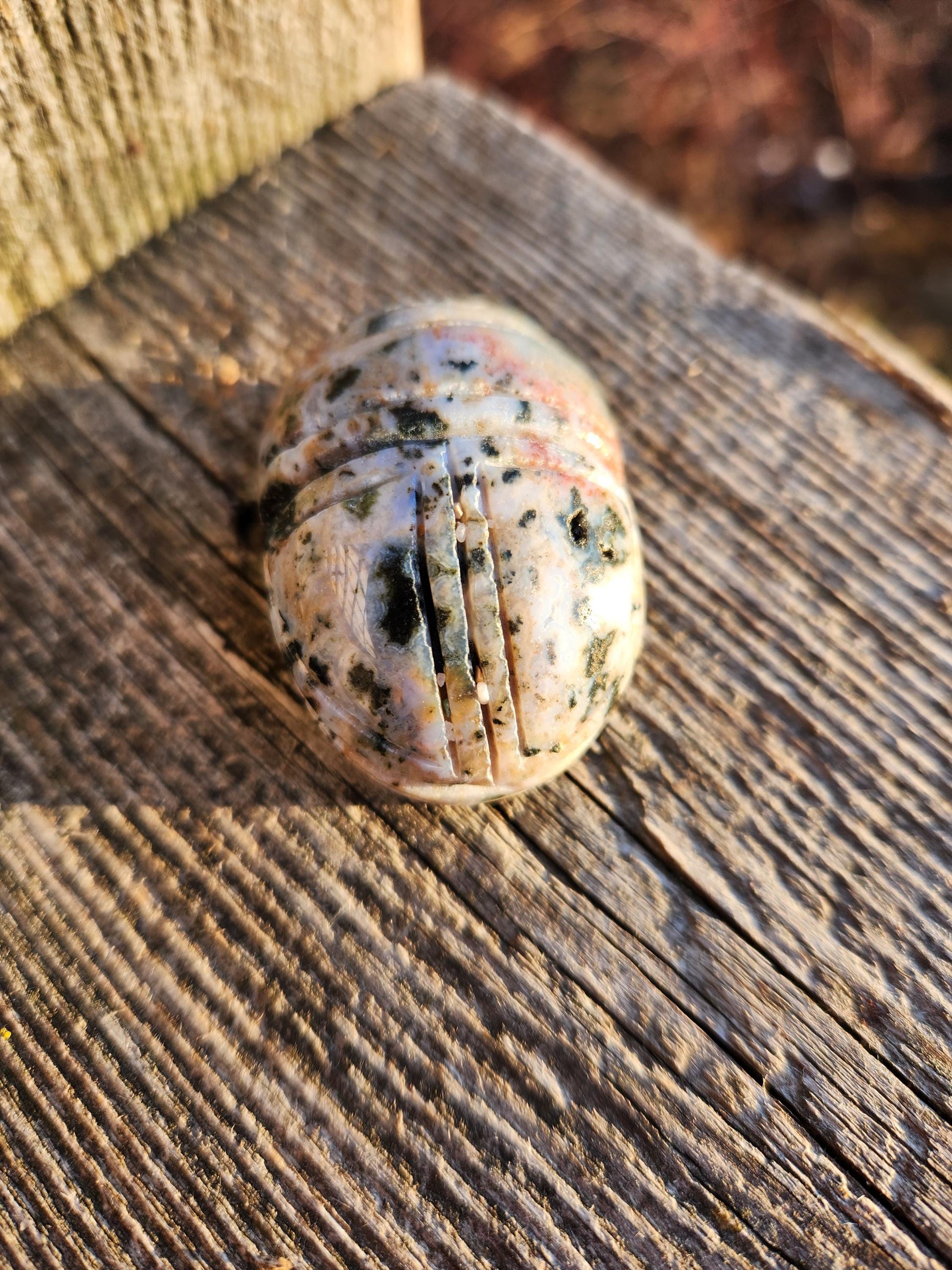 Ocean Jasper Polished Scarab Beetle Crystal Carving