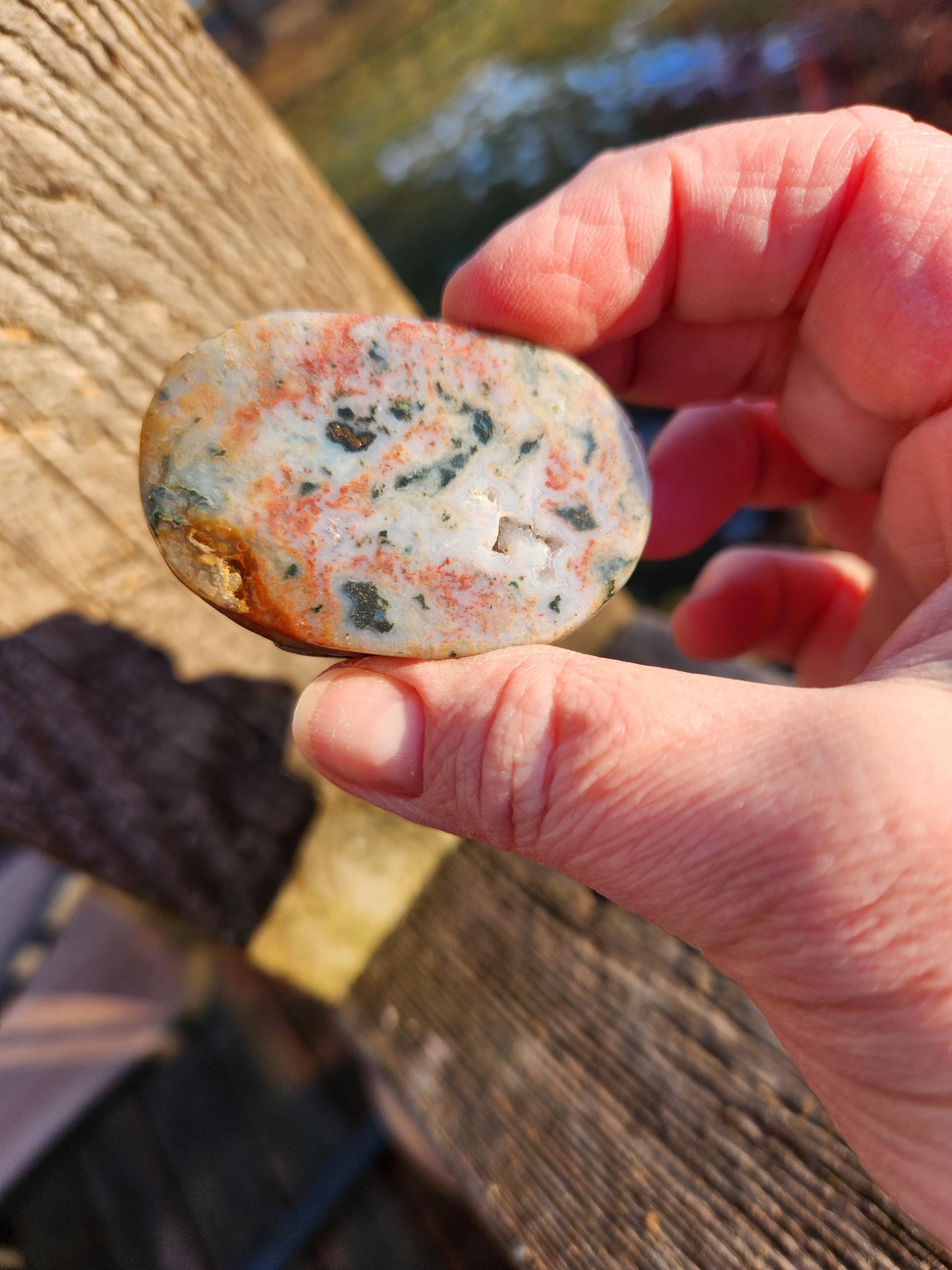 Ocean Jasper Polished Scarab Beetle Crystal Carving