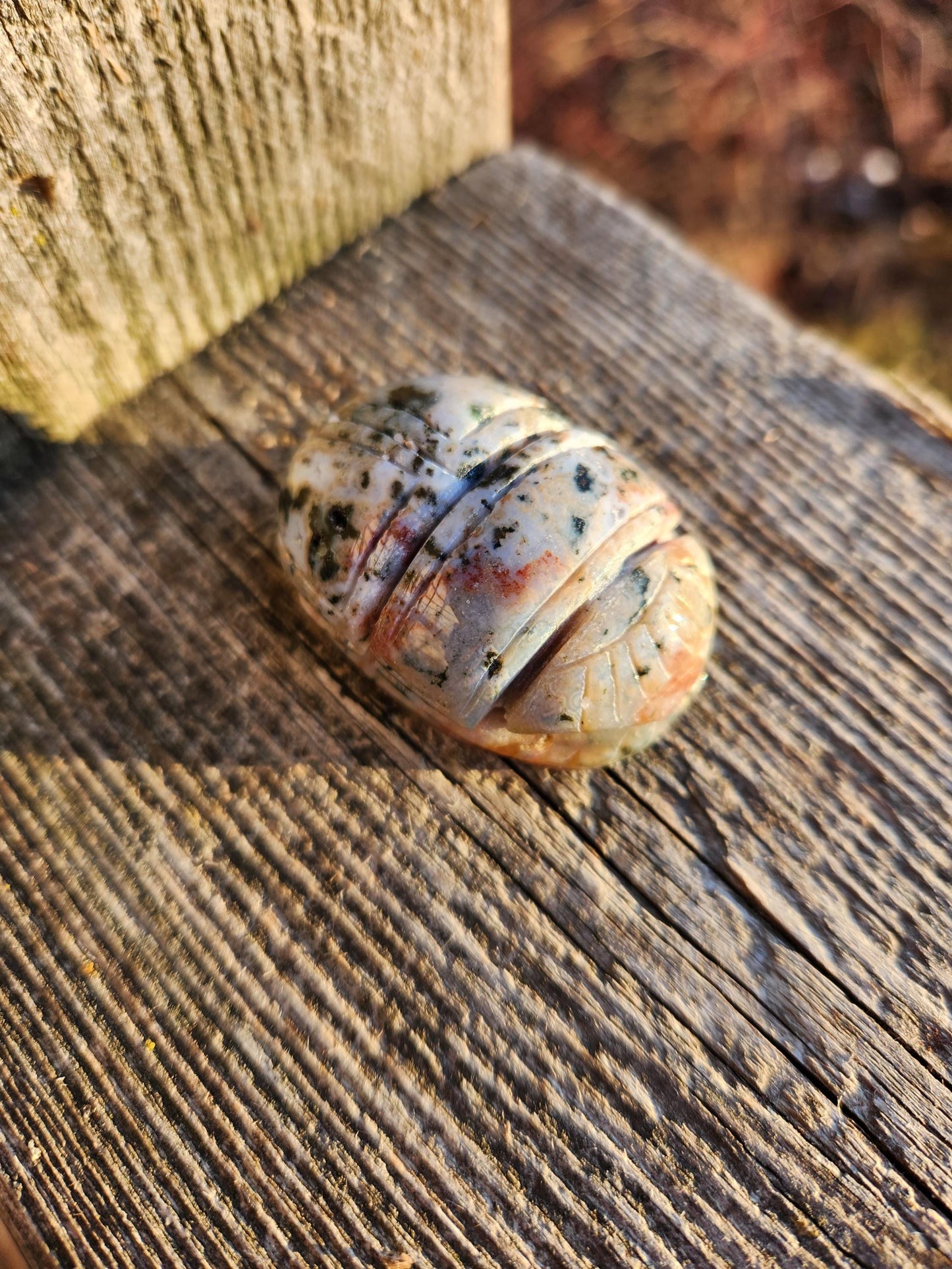 Ocean Jasper Polished Scarab Beetle Crystal Carving