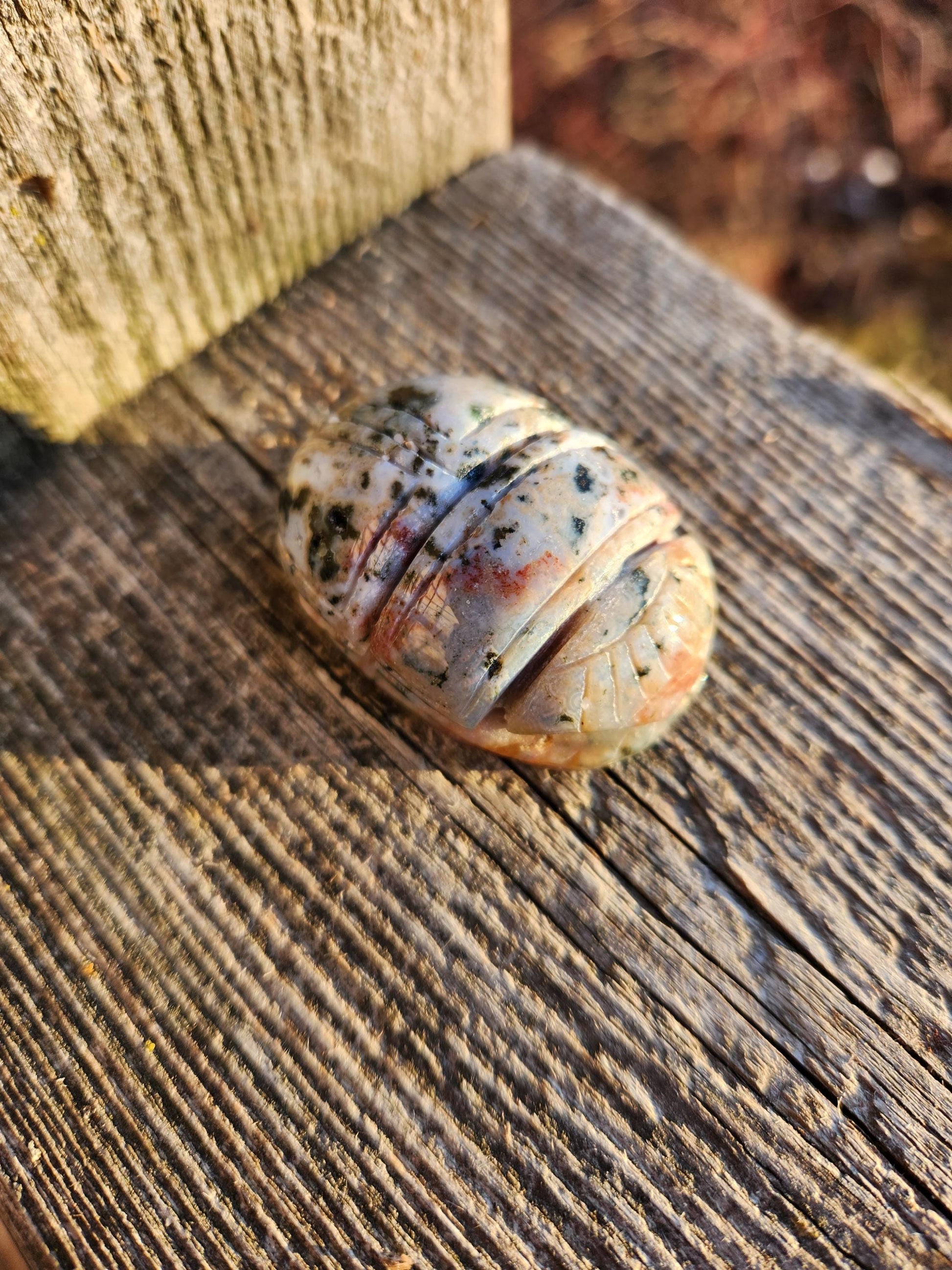 Ocean Jasper Polished Scarab Beetle Crystal Carving