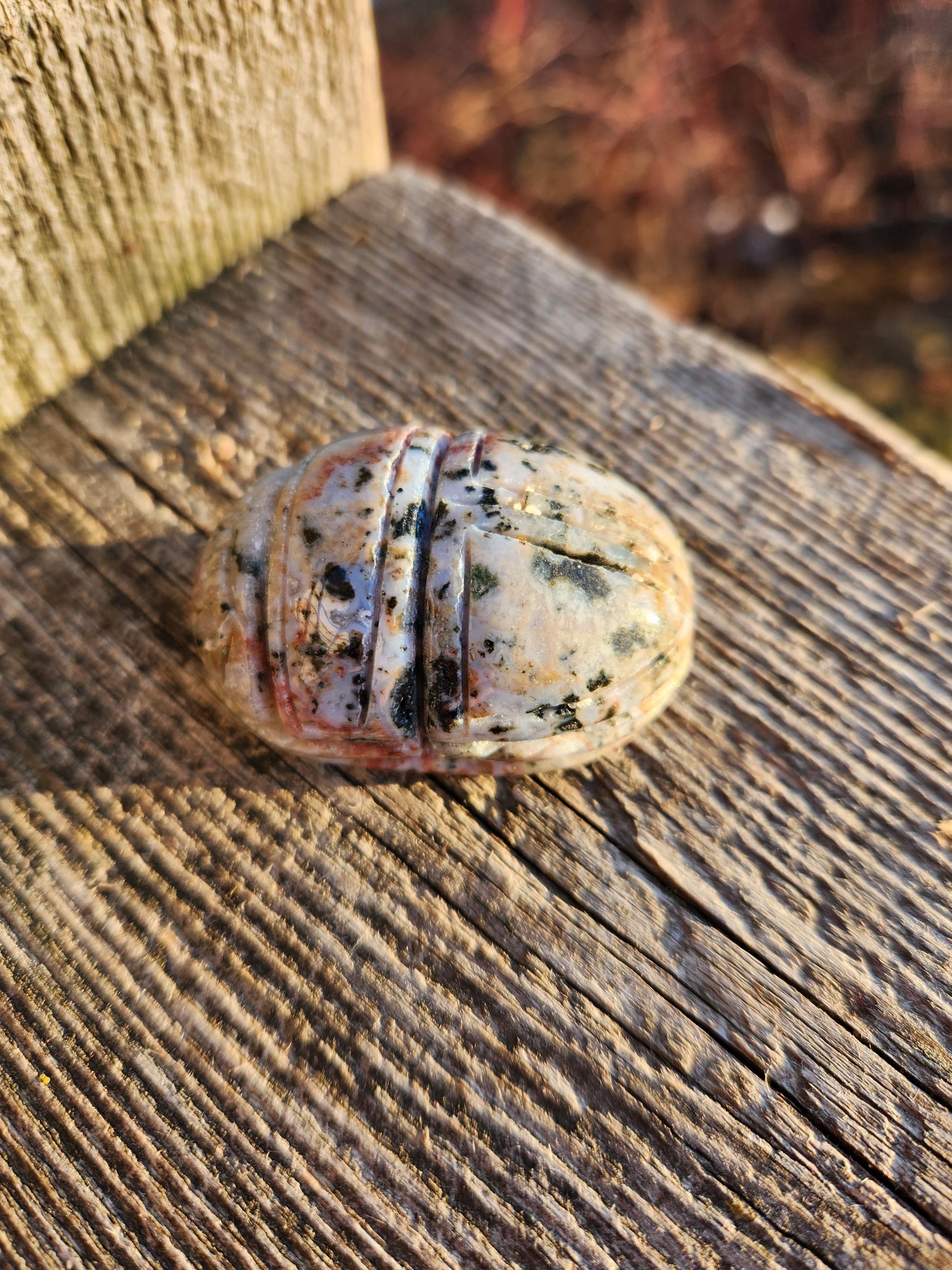 Ocean Jasper Polished Scarab Beetle Crystal Carving