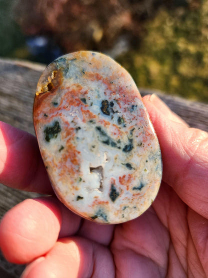 Ocean Jasper Polished Scarab Beetle Crystal Carving