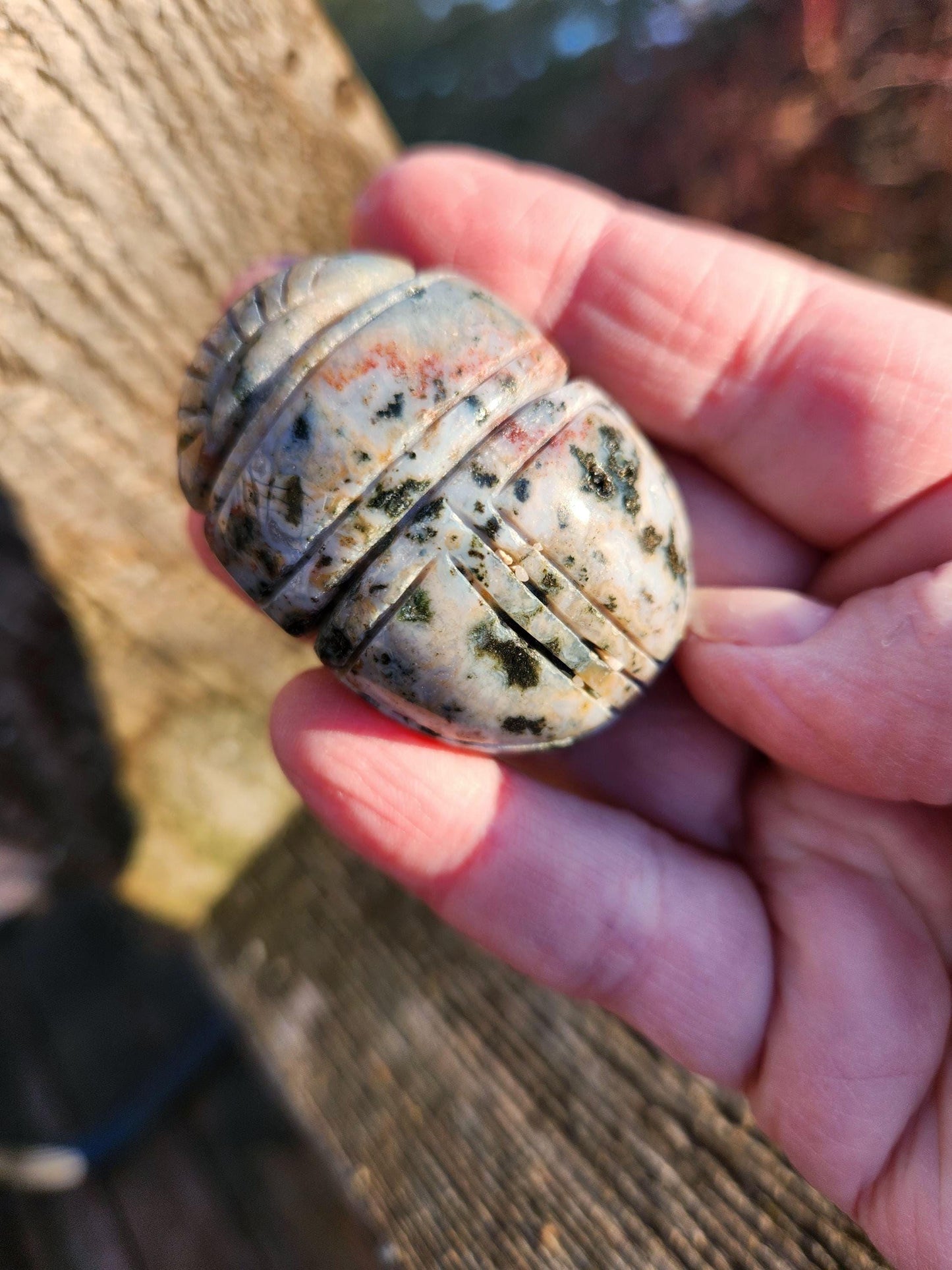 Ocean Jasper Polished Scarab Beetle Crystal Carving