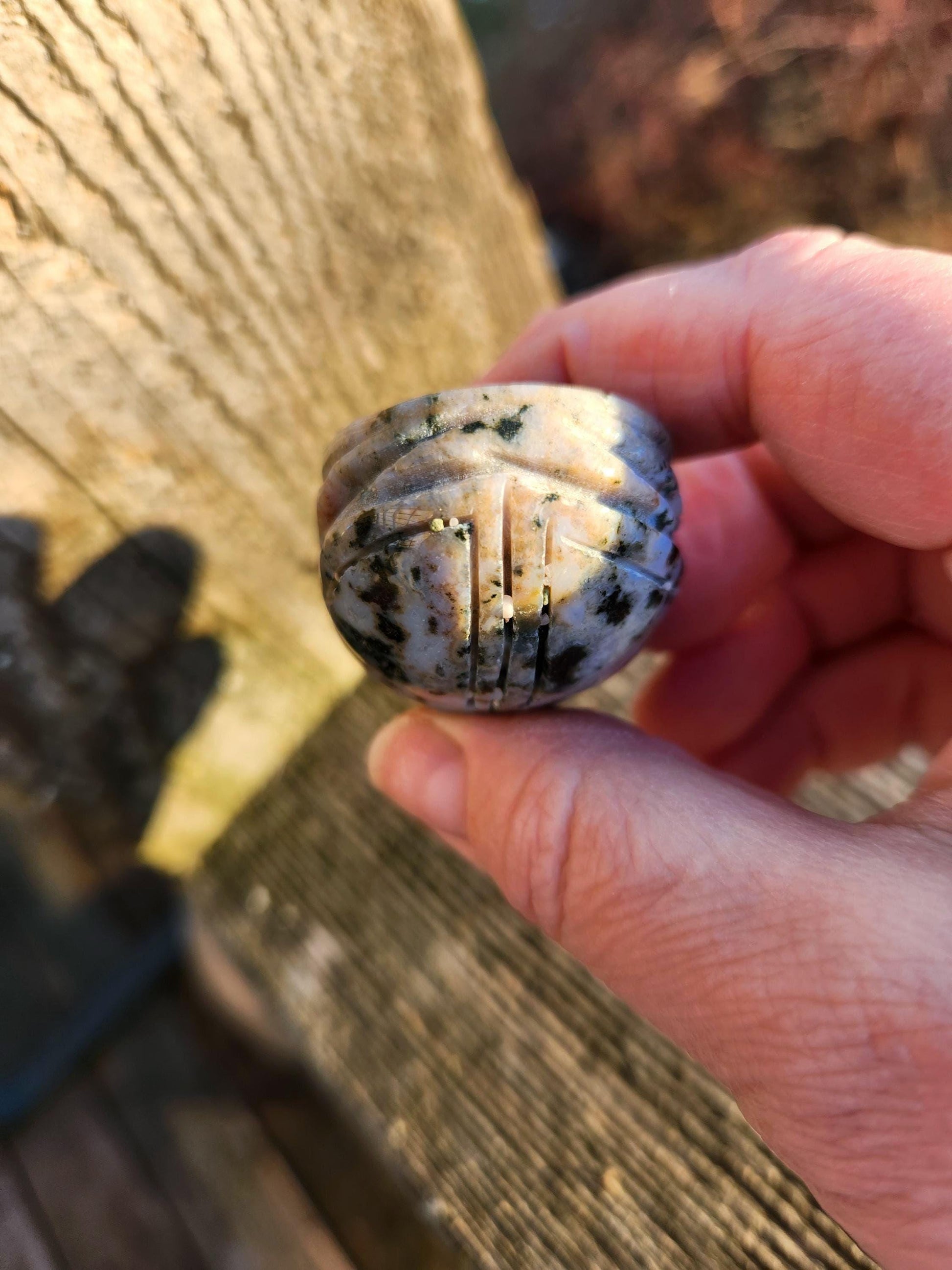 Ocean Jasper Polished Scarab Beetle Crystal Carving