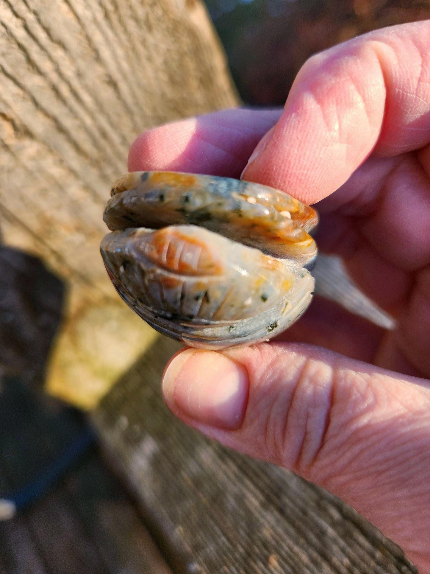 Ocean Jasper Polished Scarab Beetle Crystal Carving