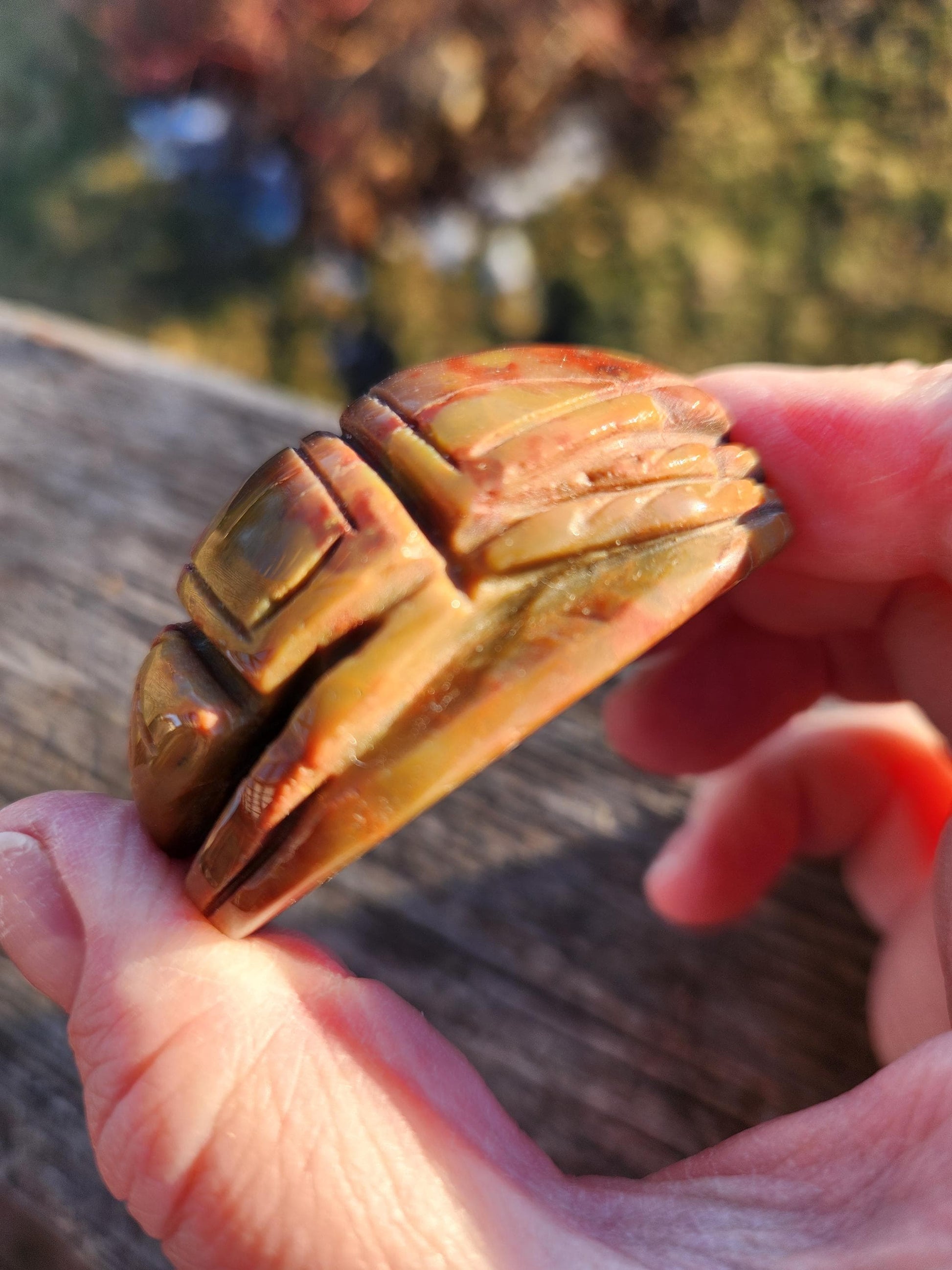 Picasso Jasper Polished Scarab Beetle Crystal Carving