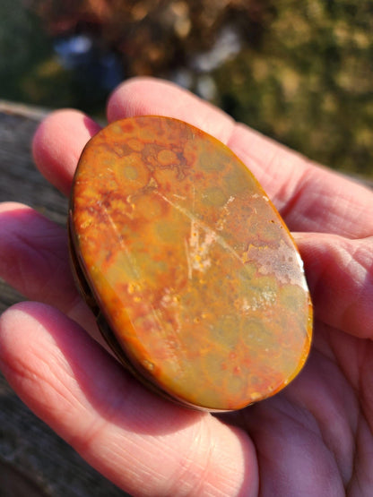 Picasso Jasper Polished Scarab Beetle Crystal Carving