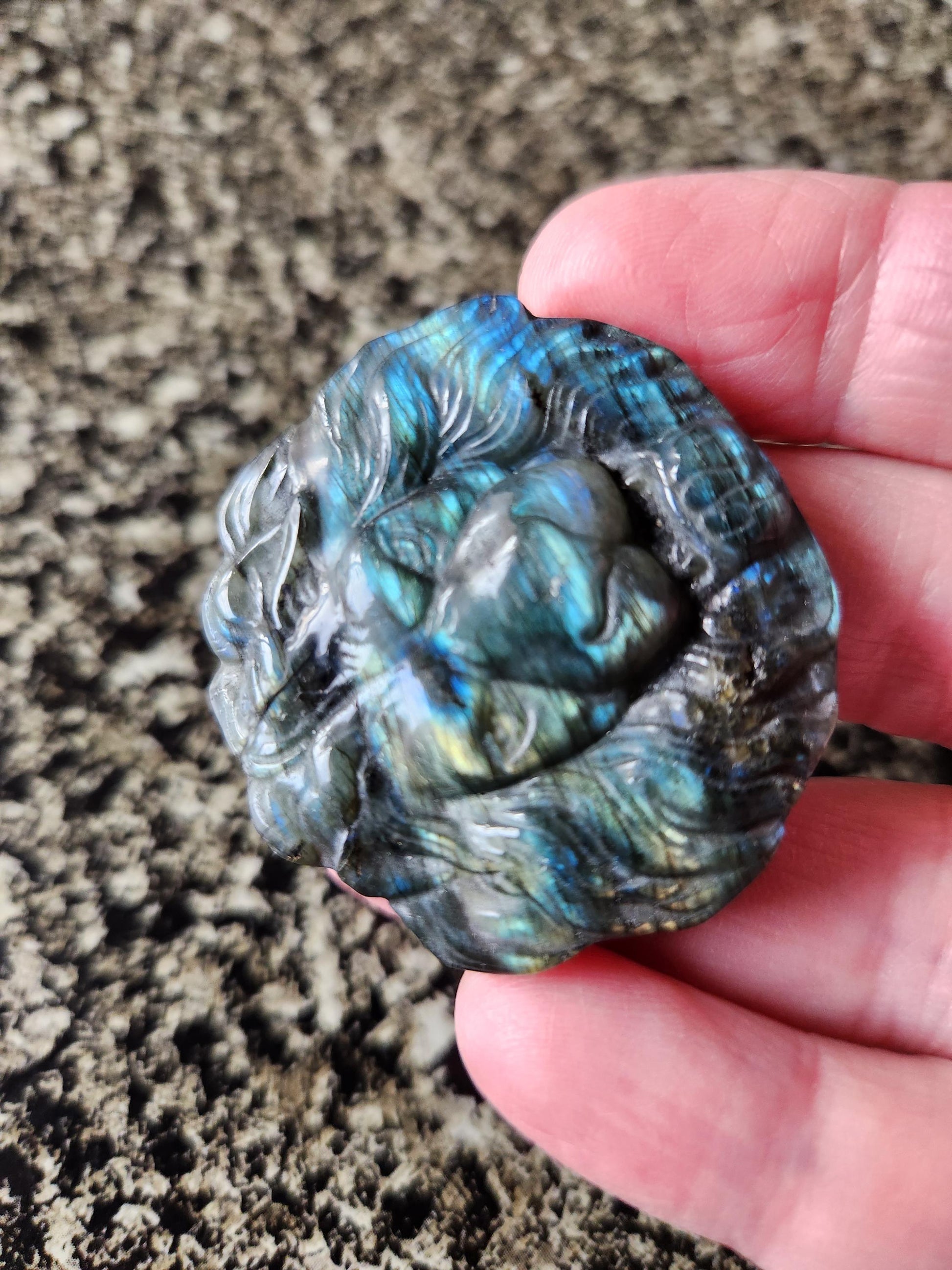 Labradorite Crystal Lion Coin Carving: Hand Carved Palm Stone with Extreme Flash