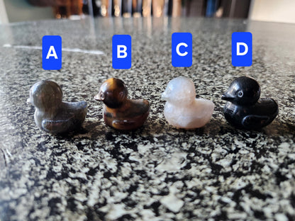 Carved Mini Duck Crystal Stone: Various Stone, One