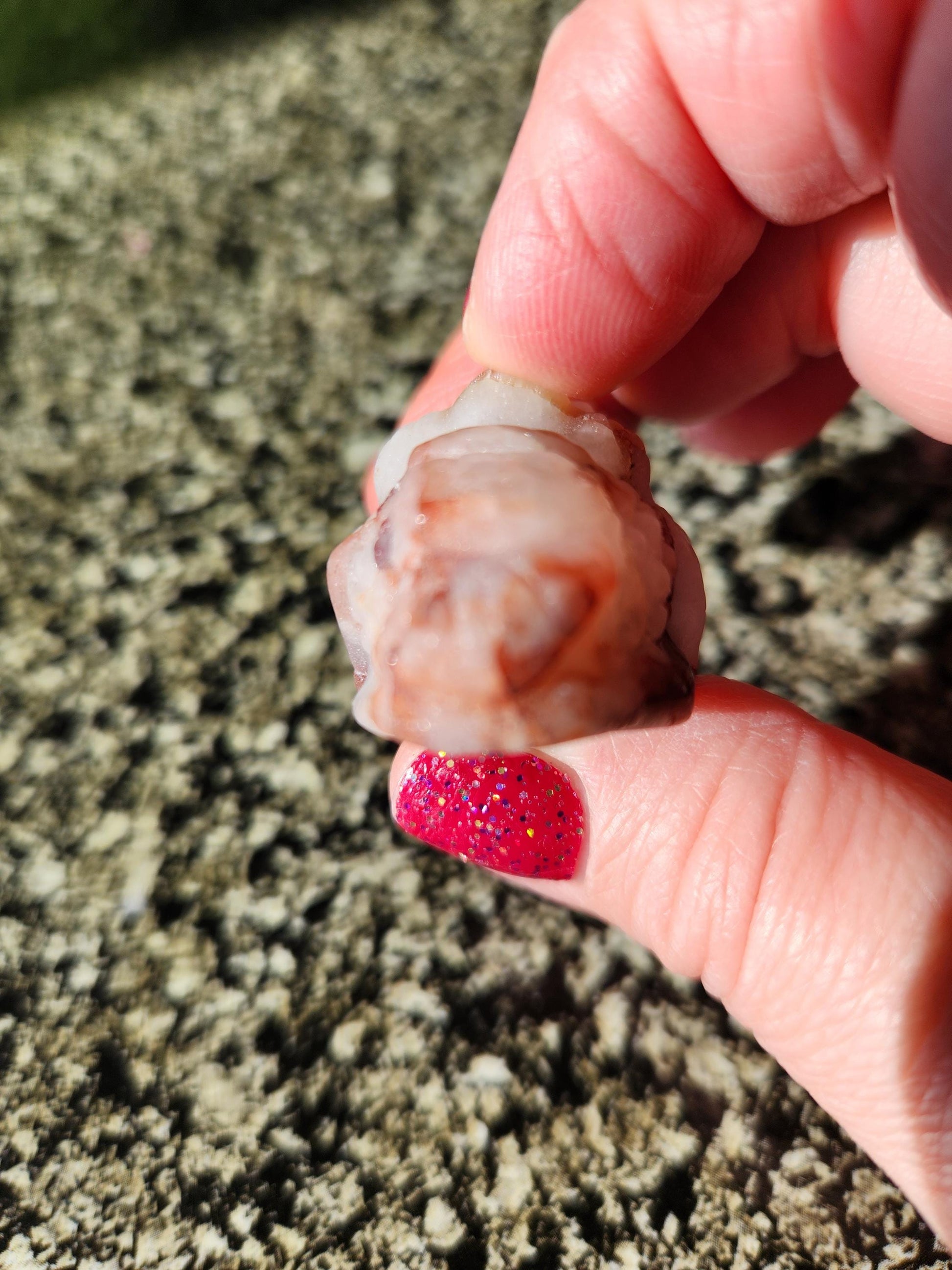 Pocket Sized Fire Quartz Crystal Money Toad All Natural, Extra Small