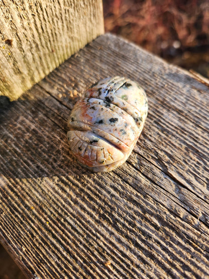 Ocean Jasper Polished Scarab Beetle Crystal Carving