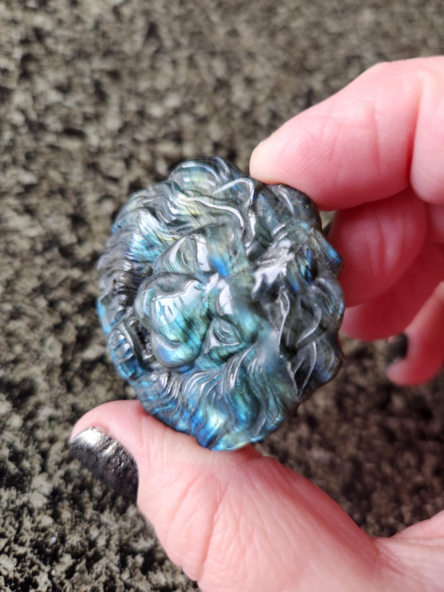 Labradorite Crystal Lion Coin Carving: Hand Carved Palm Stone with Extreme Flash