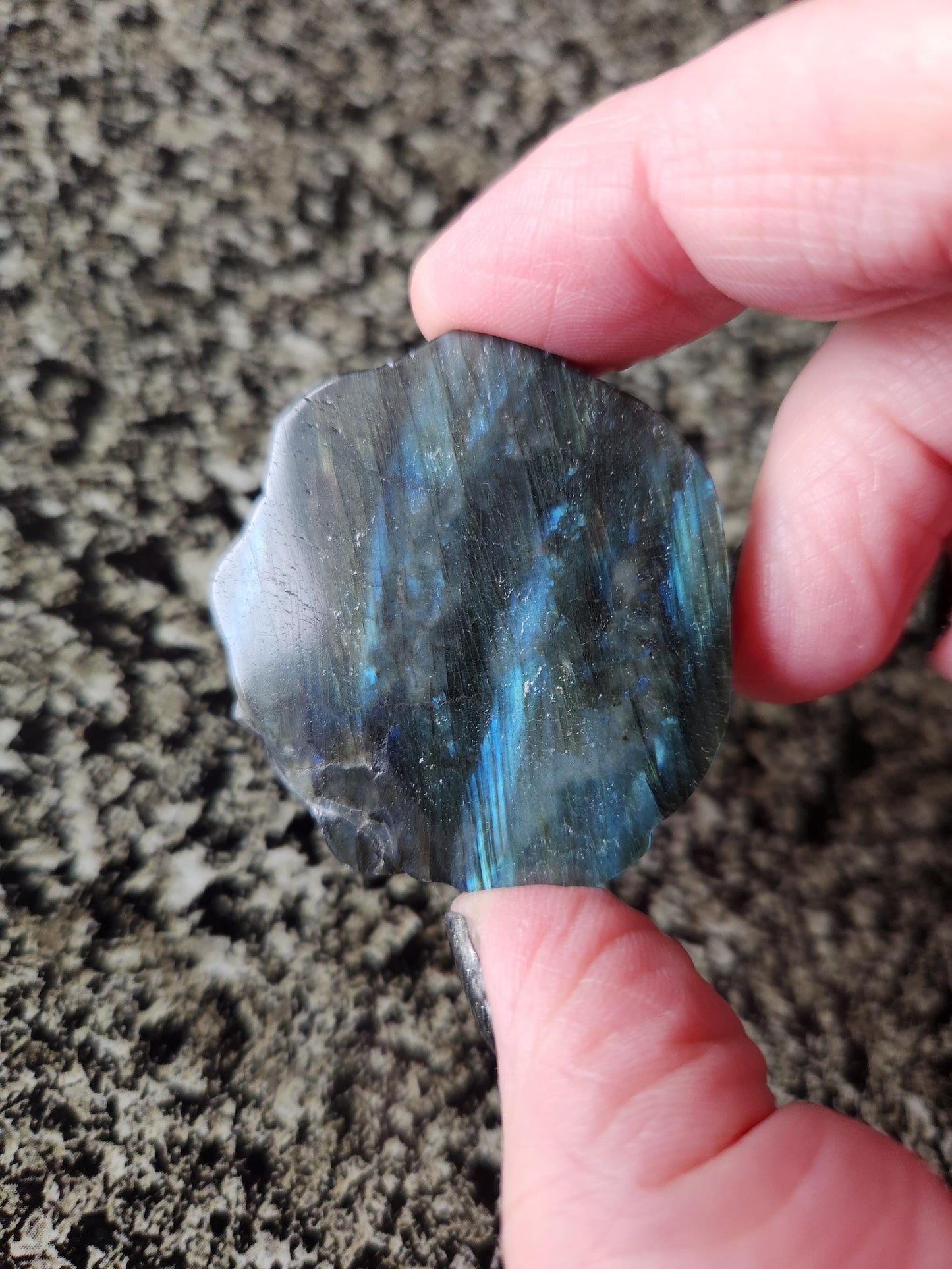 Labradorite Crystal Lion Coin Carving: Hand Carved Palm Stone with Extreme Flash