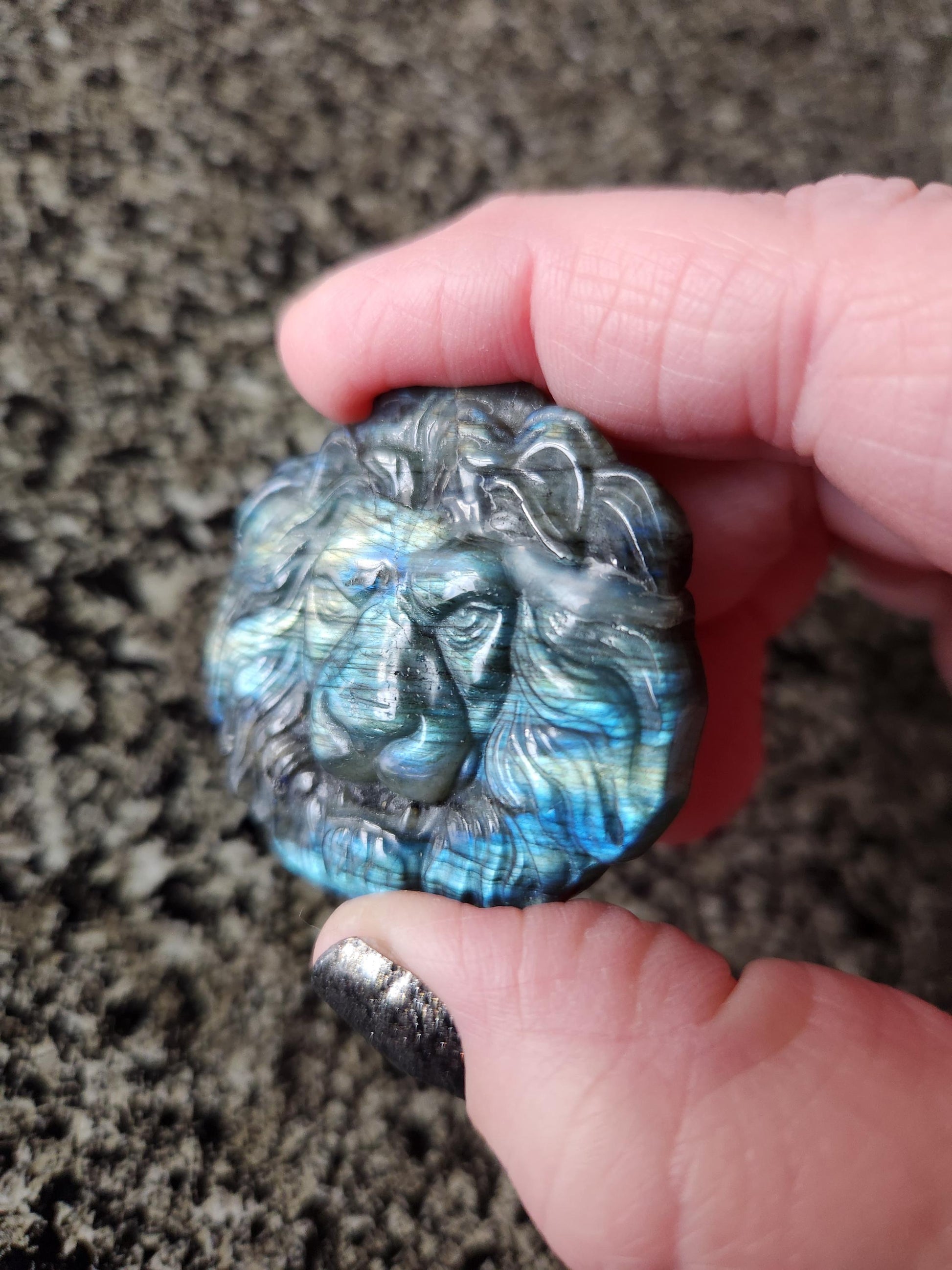 Labradorite Crystal Lion Coin Carving: Hand Carved Palm Stone with Extreme Flash
