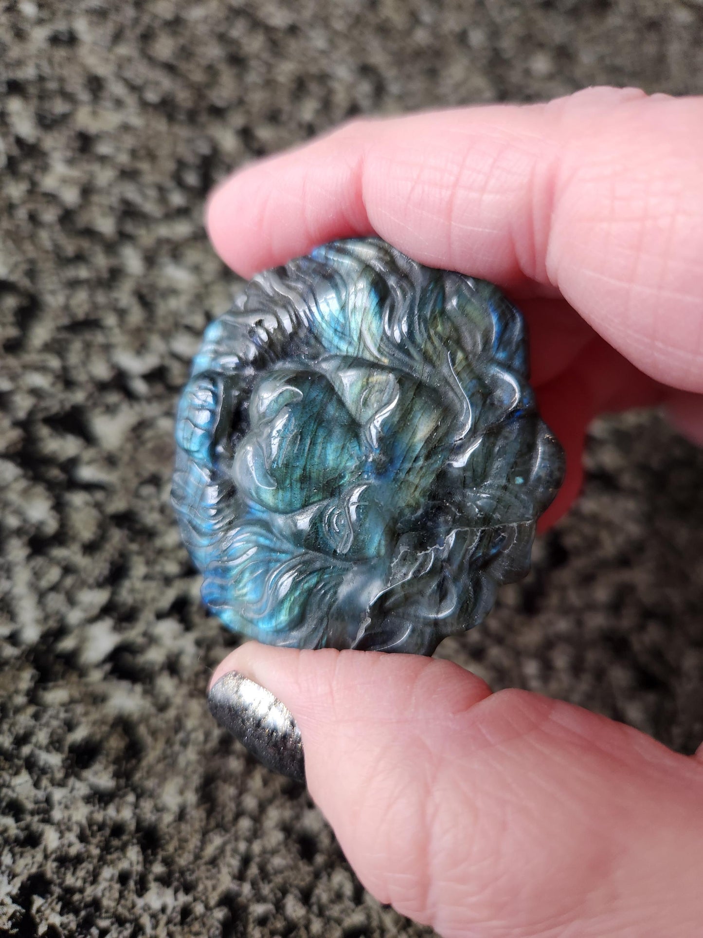 Labradorite Crystal Lion Coin Carving: Hand Carved Palm Stone with Extreme Flash