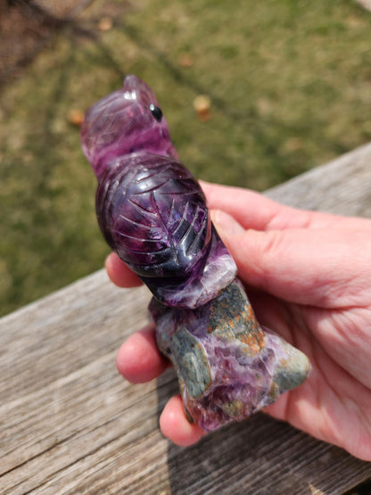 Carved Candy Fluorite Crystal Owl on Natural Root Stone, Unique