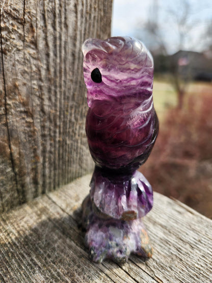 Carved Candy Fluorite Crystal Owl on Natural Root Stone, Unique