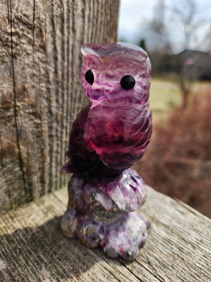 Carved Candy Fluorite Crystal Owl on Natural Root Stone, Unique
