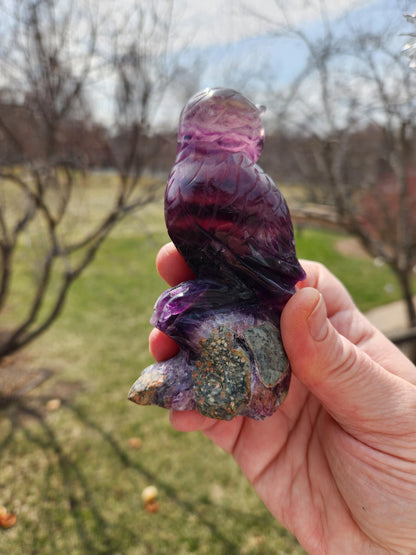 Carved Candy Fluorite Crystal Owl on Natural Root Stone, Unique