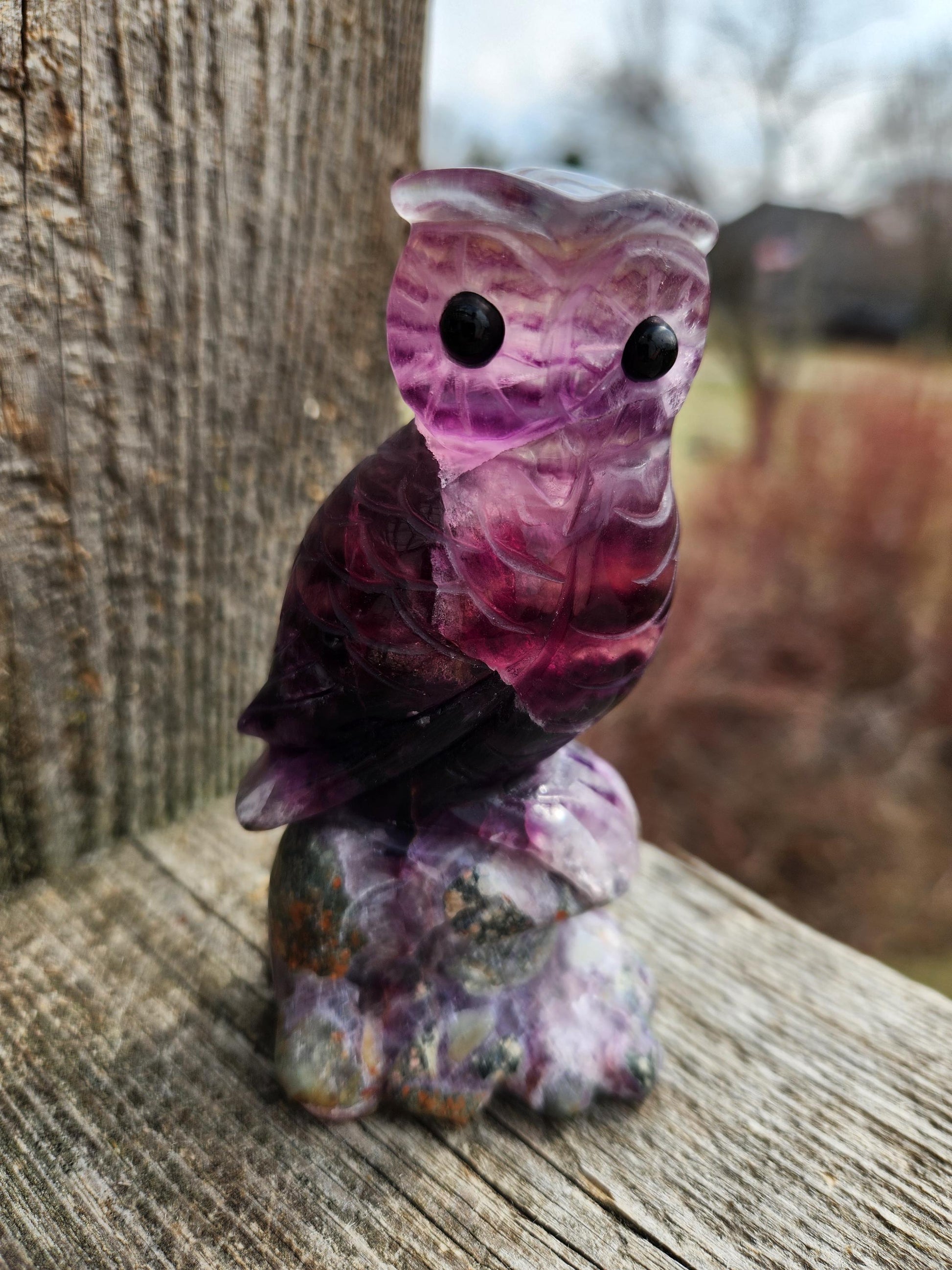 Carved Candy Fluorite Crystal Owl on Natural Root Stone, Unique