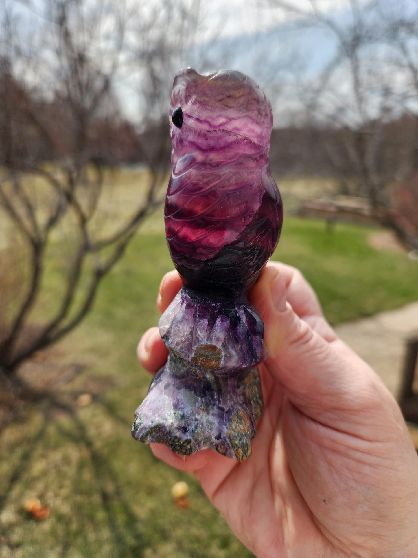 Carved Candy Fluorite Crystal Owl on Natural Root Stone, Unique