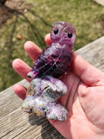 Carved Candy Fluorite Crystal Owl on Natural Root Stone, Unique