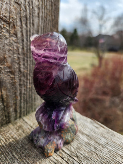 Carved Candy Fluorite Crystal Owl on Natural Root Stone, Unique