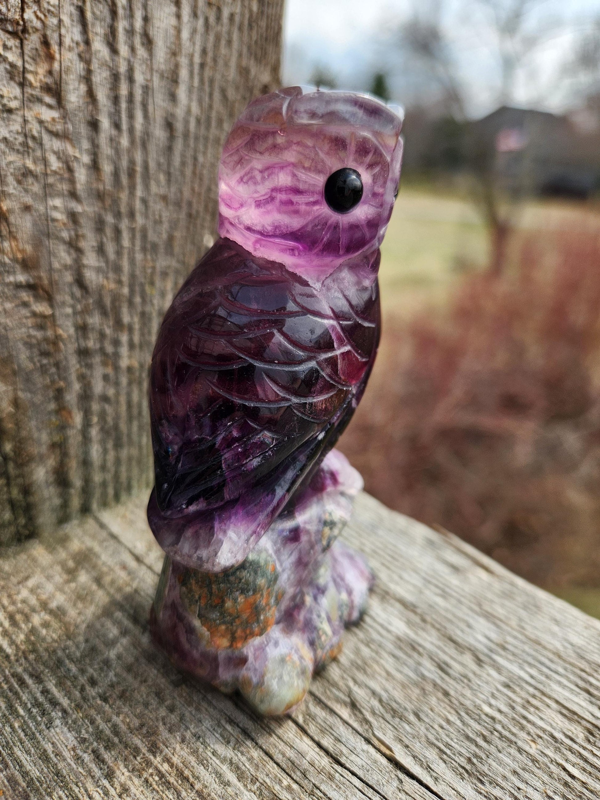 Carved Candy Fluorite Crystal Owl on Natural Root Stone, Unique