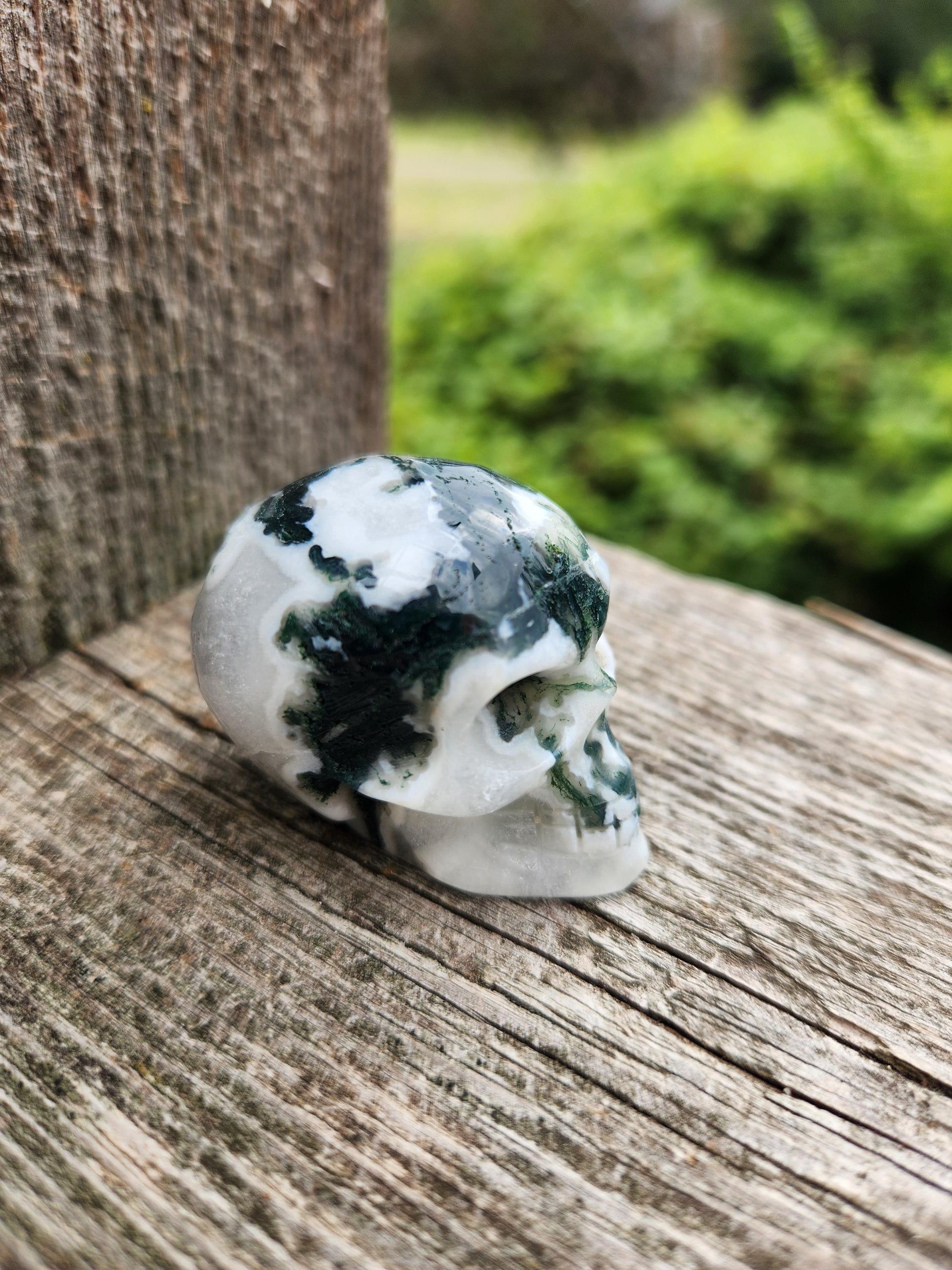 Moss Agate Clear Quartz Small Crystal Skull