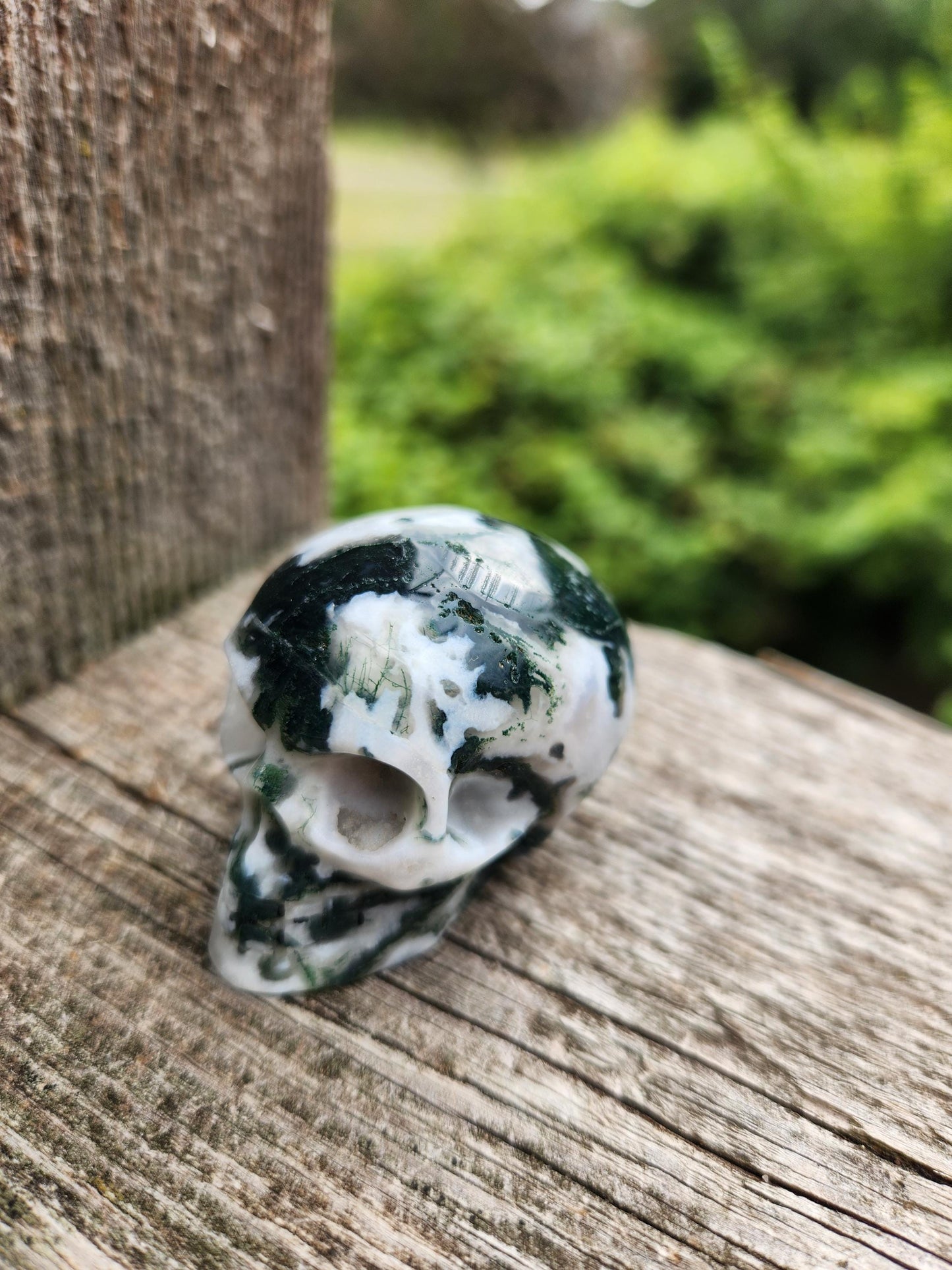 Moss Agate Clear Quartz Small Crystal Skull