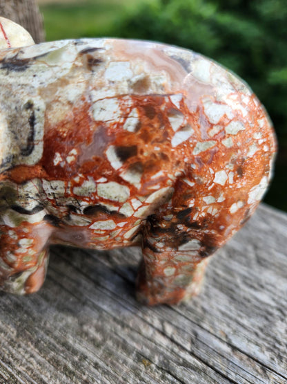 Carved Money Agate Elephant: High Polished Crystal Stone