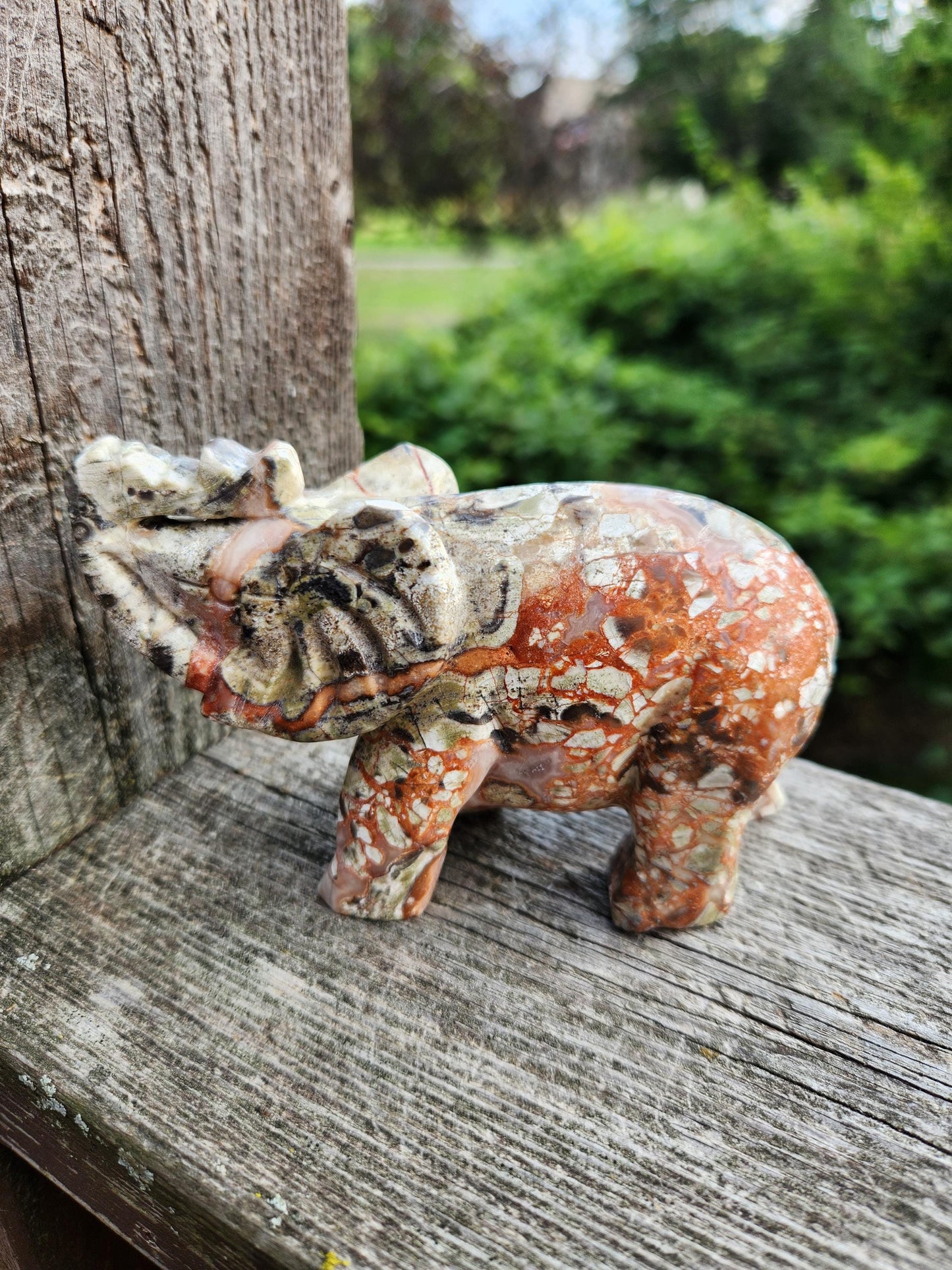 Carved Money Agate Elephant: High Polished Crystal Stone