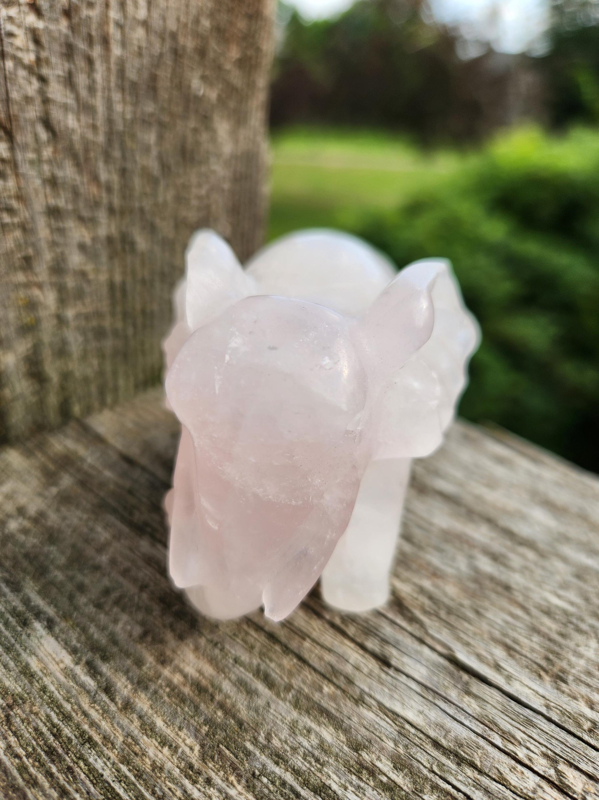 Rose Quartz Carved Elephant Crystal Stone