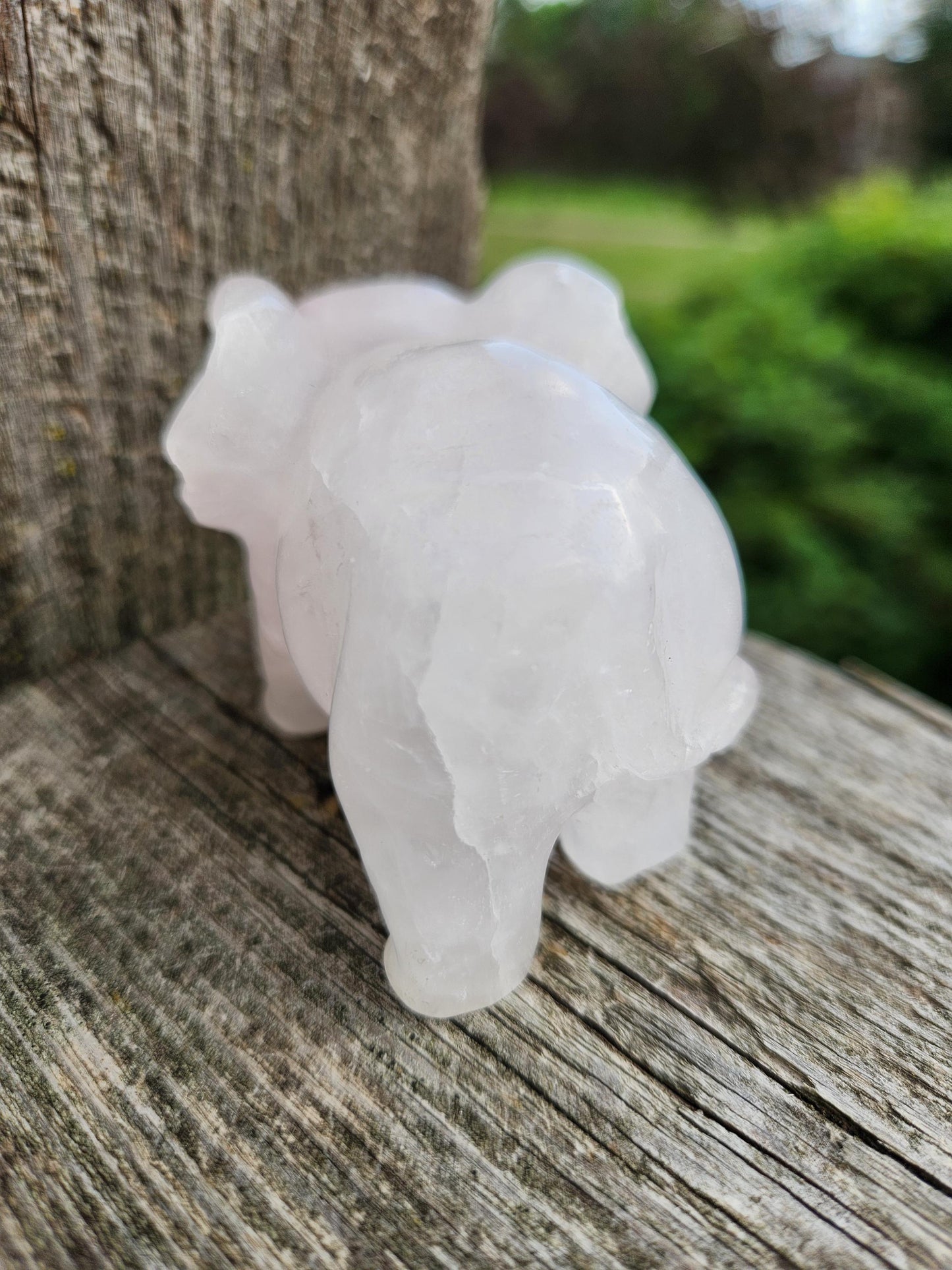 Rose Quartz Carved Elephant Crystal Stone