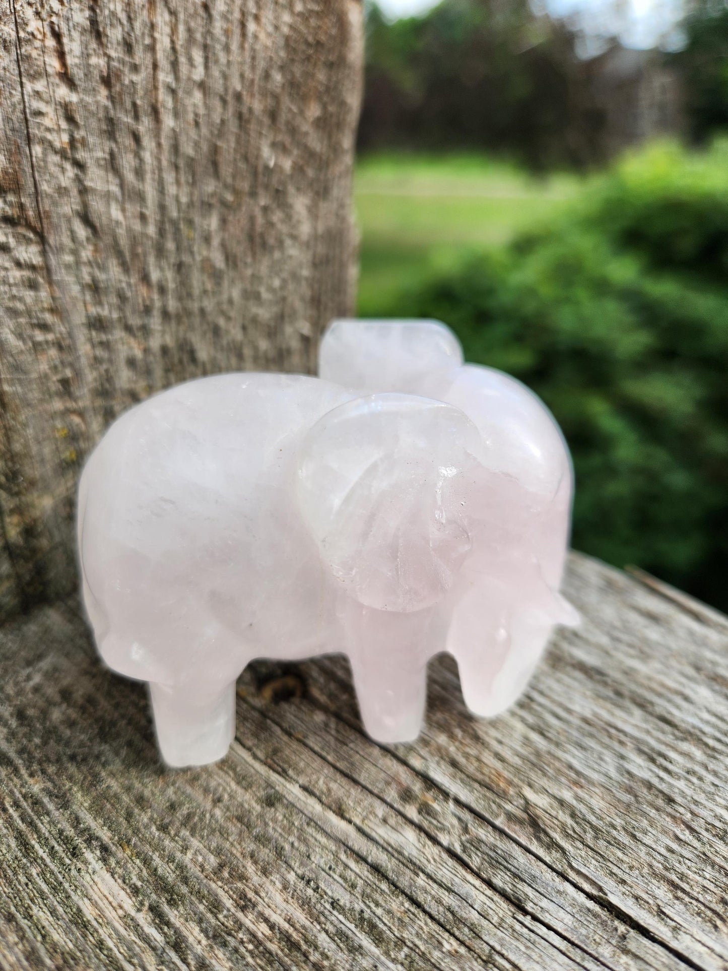 Rose Quartz Carved Elephant Crystal Stone