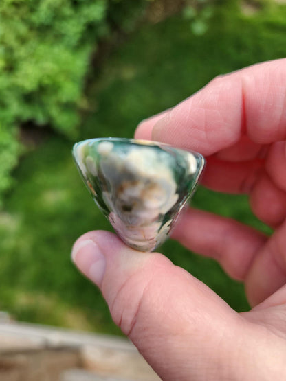 Orbicular Fossilized Coral Specimen, Ocean Jasper Polished Large Tumble Crystal