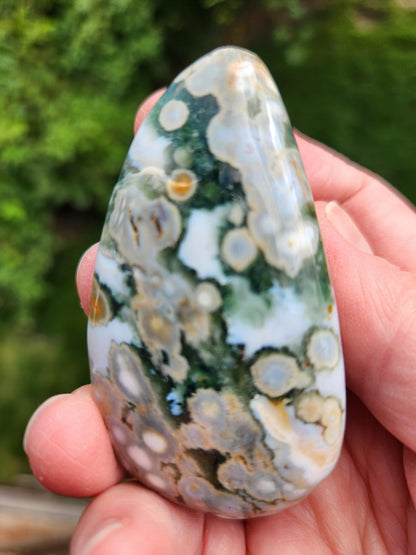 Orbicular Fossilized Coral Specimen, Ocean Jasper Polished Large Tumble Crystal